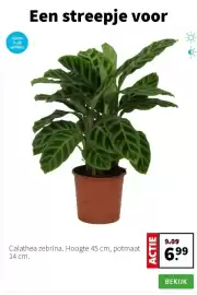 Intratuin folder week 5 Pagina 2