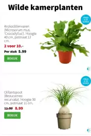 Intratuin folder week 5 Pagina 3