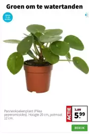 Intratuin folder week 5 Pagina 5