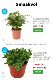 Intratuin folder week 5 Pagina 6