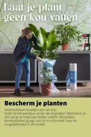 Intratuin folder week 5 Pagina 7