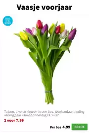 Intratuin folder week 5 Pagina 9