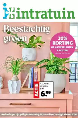 Intratuin folder (geldig t/m 1-02)