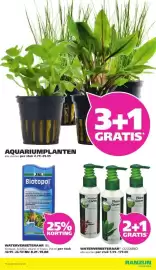 Ranzijn folder Pagina 6