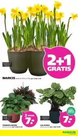 Ranzijn folder Pagina 7