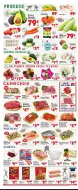 Vallarta Supermarkets weekly ad week 4 Page 4