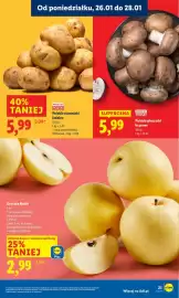 Lidl gazetka Strona 23