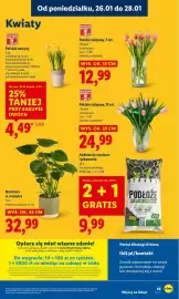 Lidl gazetka Strona 49