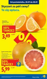 Lidl gazetka Strona 7