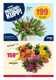 Coop Extra kundeavis uke 5 Side 22