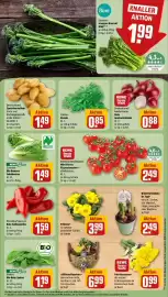 REWE Prospekt woche 5 Seite 7