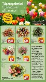 REWE Prospekt woche 5 Seite 8