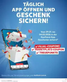 Kaufland Prospekt woche 5 Seite 31