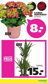 Ranzijn folder Pagina 10