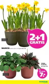 Ranzijn folder Pagina 9