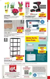 Toom Baumarkt Prospekt woche 5 Seite 8