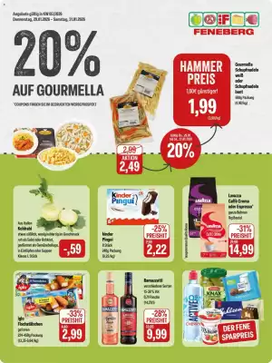 Feneberg Prospekt (gültig bis 31-01)