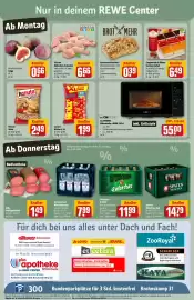REWE Center Prospekt woche 5 Seite 3