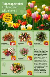 REWE Center Prospekt woche 5 Seite 8