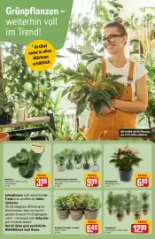 REWE Center Prospekt woche 5 Seite 9
