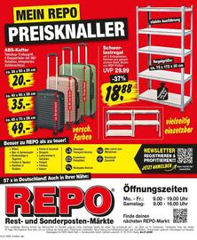 Repo Markt Prospekt woche 5 Seite 8
