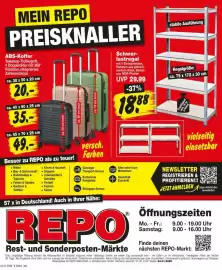 Repo Markt Prospekt woche 5 Seite 8