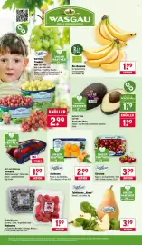 Wasgau Prospekt woche 5 Seite 8