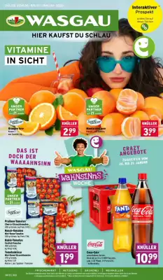 Wasgau Prospekt (gültig bis 31-01)
