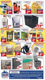 CENTERSHOP Prospekt woche 5 Seite 12