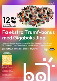 Gigaboks kundeavis uke 5 Side 8