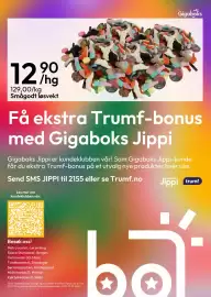 Gigaboks kundeavis uke 5 Side 8