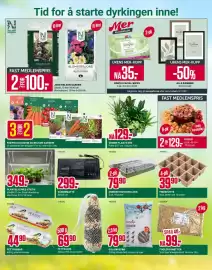 Europris kundeavis uke 5 Side 12