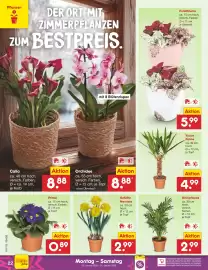 Netto Marken-Discount DE folder week 5 Pagina 26