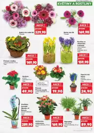 Kaufland leták týden 5 Strana 13