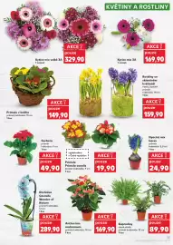 Kaufland leták týden 5 Strana 13