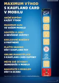Kaufland leták týden 5 Strana 55