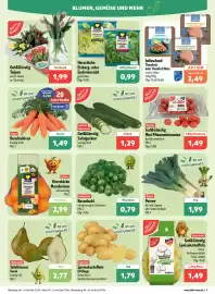 Aktiv Irma Prospekt woche 5 Seite 3