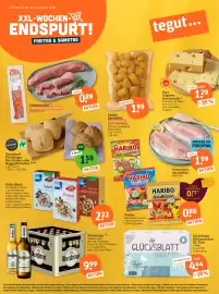 Basic Prospekt Seite 1