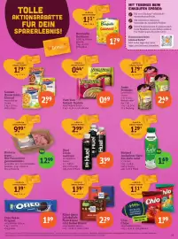 Basic Prospekt Seite 15