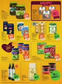 Basic Prospekt Seite 17