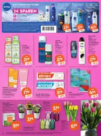 Basic Prospekt Seite 20