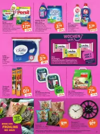 Basic Prospekt Seite 21