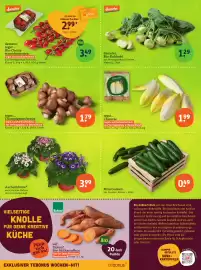 Basic Prospekt Seite 4