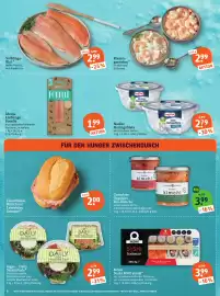 Basic Prospekt Seite 8