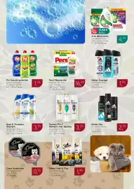 Dornseifer Prospekt woche 5 Seite 14