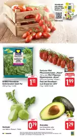 EDEKA Berger Prospekt woche 5 Seite 10