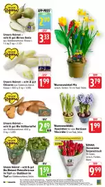 EDEKA Berger Prospekt woche 5 Seite 11