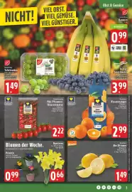 EDEKA Vogl Prospekt woche 5 Seite 3