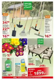 Multi Markt Prospekt woche 5 Seite 18