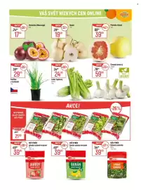 Globus leták týden 5 Strana 17